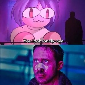 Meet your Posher, Kameron